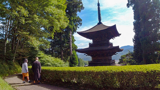 大法寺・三重塔「見返りの塔」