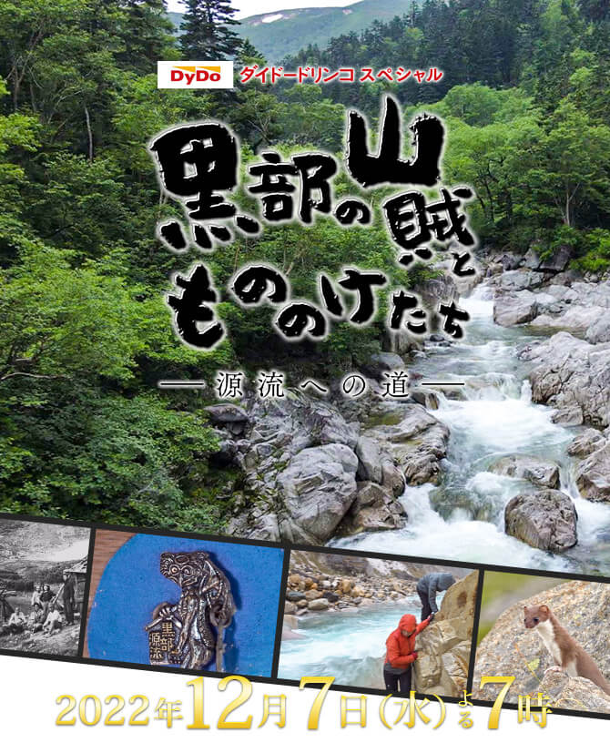 黒部の山賊ともののけたち ―源流への道―（2022年12月7日 水曜 よる7時）