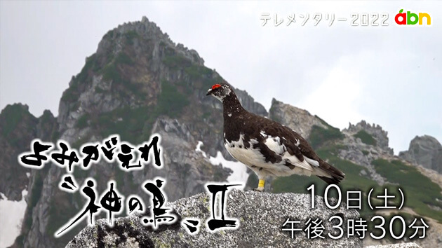 テレメンタリー2022「よみがえれ〝神の鳥〟Ⅱ」（2022年12月10日 土曜 午後3時30分）