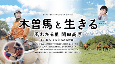 ネイチャー＆ヒューマンスペシャル シリーズ11『木曽馬と生きる ～風わたる里 開田高原～』