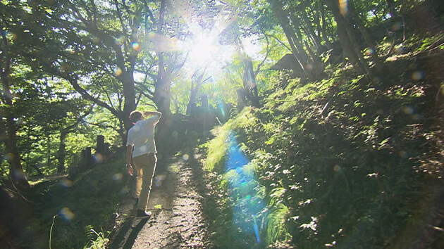 池桜の接吻道祖神