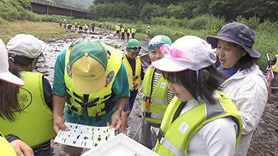 水辺の調査
