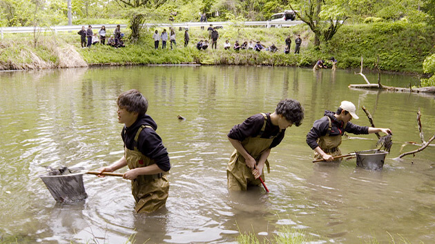 絶滅危惧種シナイモツゴ調査