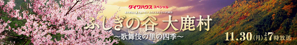 ネイチャー＆ヒューマンスペシャルシリーズ2015 ふしぎの谷 大鹿村 ～歌舞伎の里の四季～