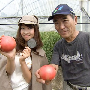 第8回【食材】トマト 8月27日（土）放送