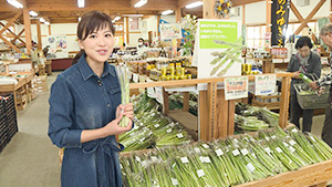 今が旬！飯山のアスパラガス（いいね！信州スゴヂカラ）｜ 花の駅・千曲川