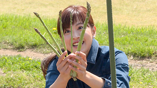 今が旬！飯山のアスパラガス（いいね！信州スゴヂカラ）