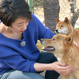 梓山犬を知っていますか？（4月7日 土曜 午前11時）