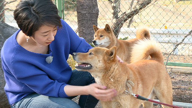 梓山犬を知っていますか？（いいね！信州スゴヂカラ）