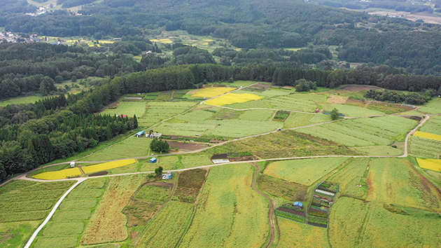 北志賀高原 須賀川「そばの里」物語（いいね！信州スゴヂカラ）