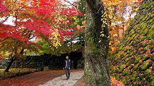 懐古園｜晩秋の小諸で紅葉と歴史を訪ねる（いいね！信州スゴヂカラ）