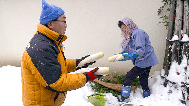 雪中キャベツ・ダイコン｜暮らしの知恵！？信州 冬の食文化