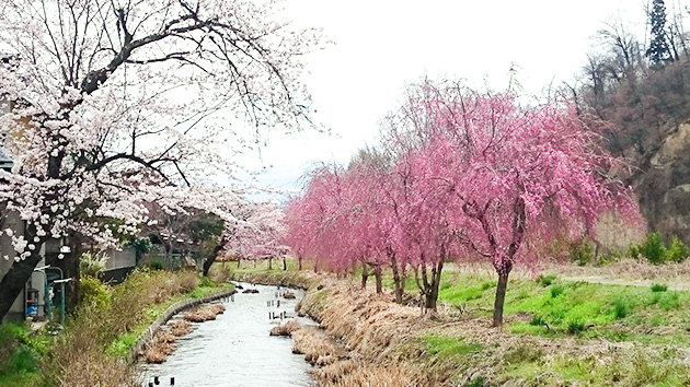 妻科地区 農業用水｜長野市の原点・妻科をぶらり