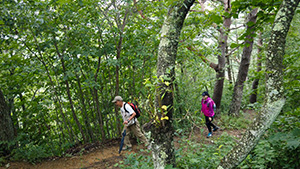 太郎山山頂付近｜里山を歩こう 上田市・太郎山