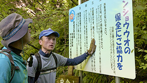 信州百名山 虫倉山｜登って描いて350山～信州山歩き地図