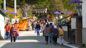 参道｜20年に一度の大祭 国宝・仁科神明宮