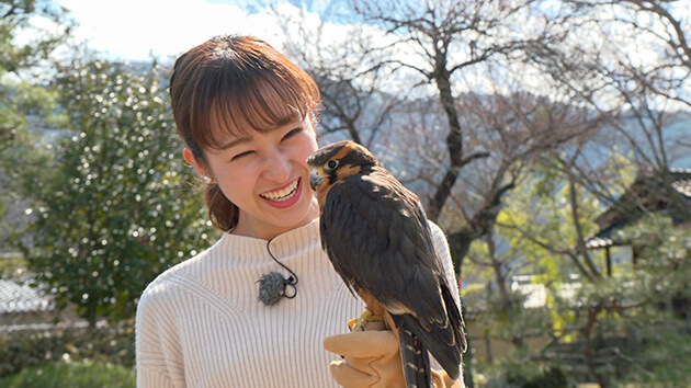 中野希友未アナウンサー｜信州の鷹狩りのルーツを探る