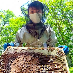 信州はちみつ王国を探る（7月4日 土曜 午前10時45分）