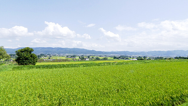 北アルプスの麓に広がる田園 ｜まちびと発見伝！～松川村編～