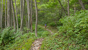 高瀬川沿い登山道｜秘境ツアー大町編 北アルプス・高瀬渓谷の温泉を訪ねて