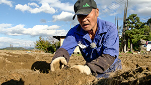 松代町ナガイモ生産｜長野市松代町のナガイモ