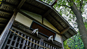 会津比売神社｜長野市松代町のナガイモ