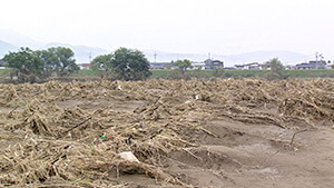 2019年 台風19号被災した畑｜長野市松代町のナガイモ