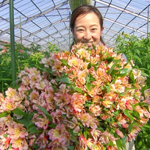 日本一だ！信州の花づくり｜中野希友未