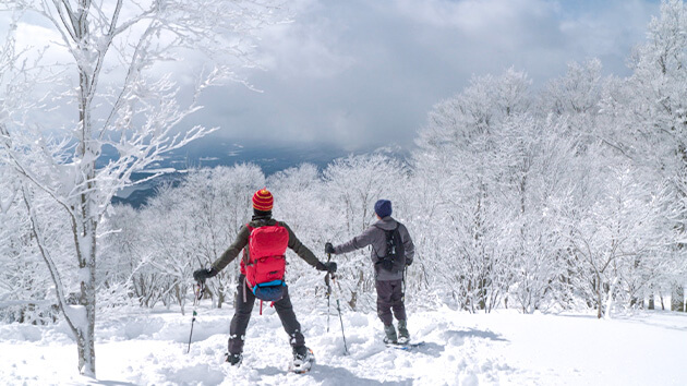 スノーシュー・残雪の森｜ひっそりと楽しむ！北信濃の自然