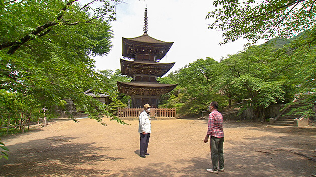 獨鈷山 前山寺・三重塔｜別所線で行く 初夏の塩田平