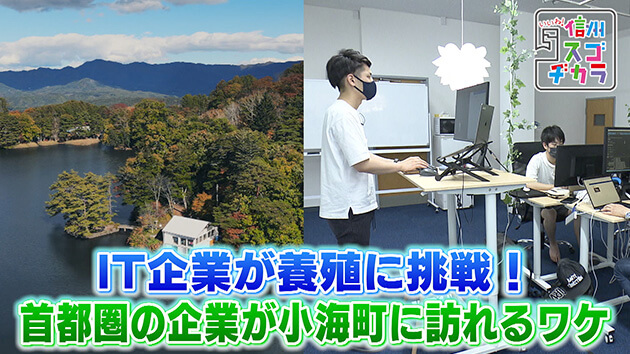 IT企業が養殖に挑戦！首都圏の企業が小海町に訪れるワケ 