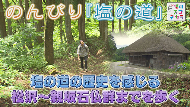 塩の道の歴史を感じる 松沢～親坂石仏群までを歩く