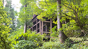 小菅神社奥社｜飯山市 小菅の里を歩く