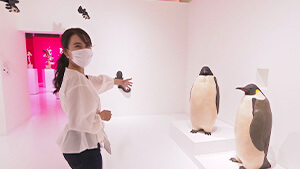 コウテイペンギン・大曽根俊輔｜街中が芸術館 ～松本まちなかアートプロジェクト～