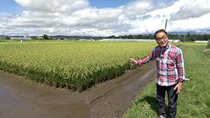 フナ水田養殖｜秋の風物詩！佐久市の田ブナを探る