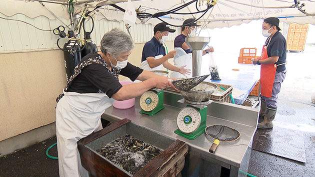 フナの販売｜秋の風物詩！佐久市の田ブナを探る