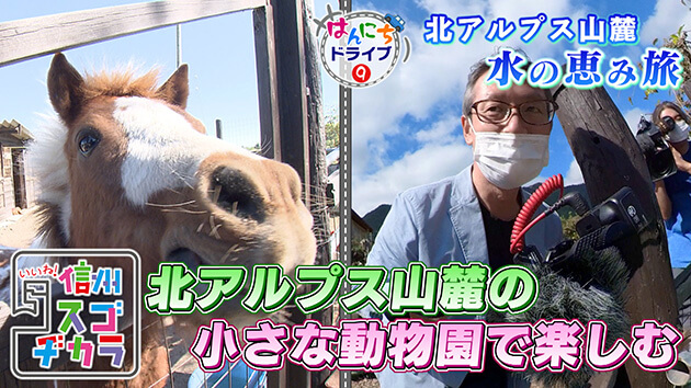 北アルプス山麓の小さな動物園で楽しむ 