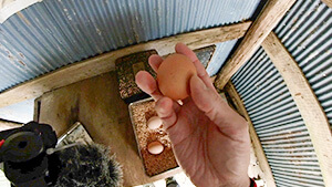卵の無人販売所｜はんにちドライブ⑩南信州ほっこり出会い旅2