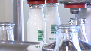 オブセ牛乳 製造工場｜小さな会社の人気牛乳