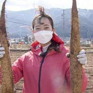 春も旬！山形村のナガイモ｜中野希友未