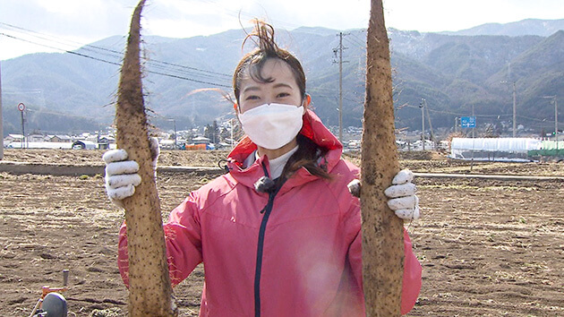 山形村 春掘りナガイモ・中野希友未（abnアナウンサー）｜春も旬！山形村のナガイモ｜春も旬！山形村のナガイモ