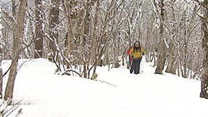 残雪期 登山｜絶景と伝説！みんなの山② 飯縄山編