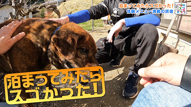 泊まってみたらスゴかった！農家民宿で田舎暮らし体験