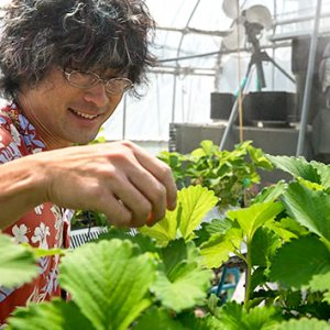 今からが旬！八ヶ岳の夏にはイチゴがある！｜プロデューサー・上沢賢一