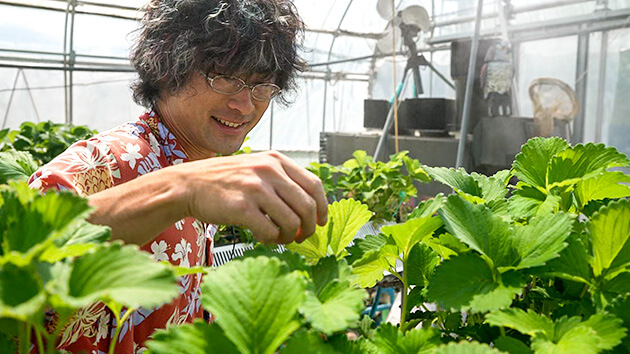 高原のエコーズ 代表 鈴木さん｜今からが旬！八ヶ岳の夏にはイチゴがある！