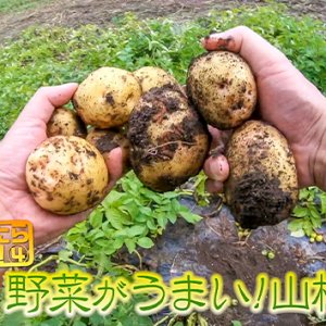 泊まってみたらスゴかった！４ 大鹿村 野菜がうまい！山村民泊（2022年9月17日 土曜 午前10時45分）