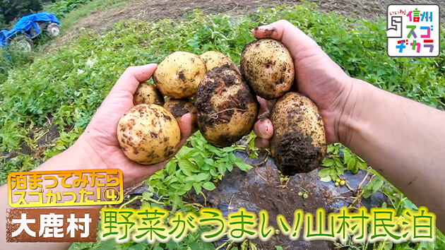 泊まってみたらスゴかった！４ 大鹿村 野菜がうまい！山村民泊