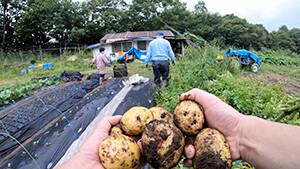 ジャガイモ収穫・山村民泊あたらしや｜泊まってみたらスゴかった！４ 大鹿村 野菜がうまい！山村民泊