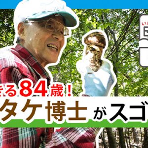 山と生きる84歳！マツタケ博士がスゴかった（2022年10月29日 土曜 午前10時45分）