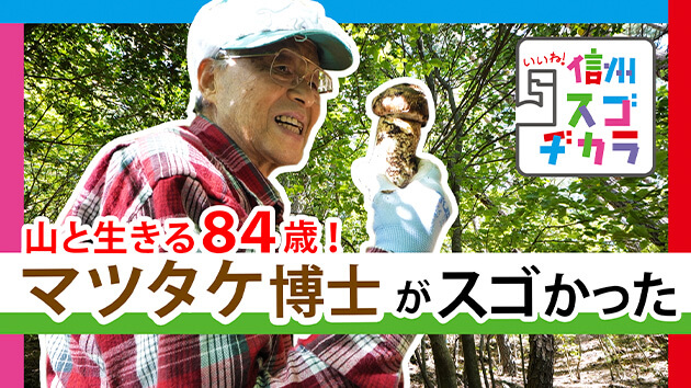 山と生きる84歳！マツタケ博士がスゴかった